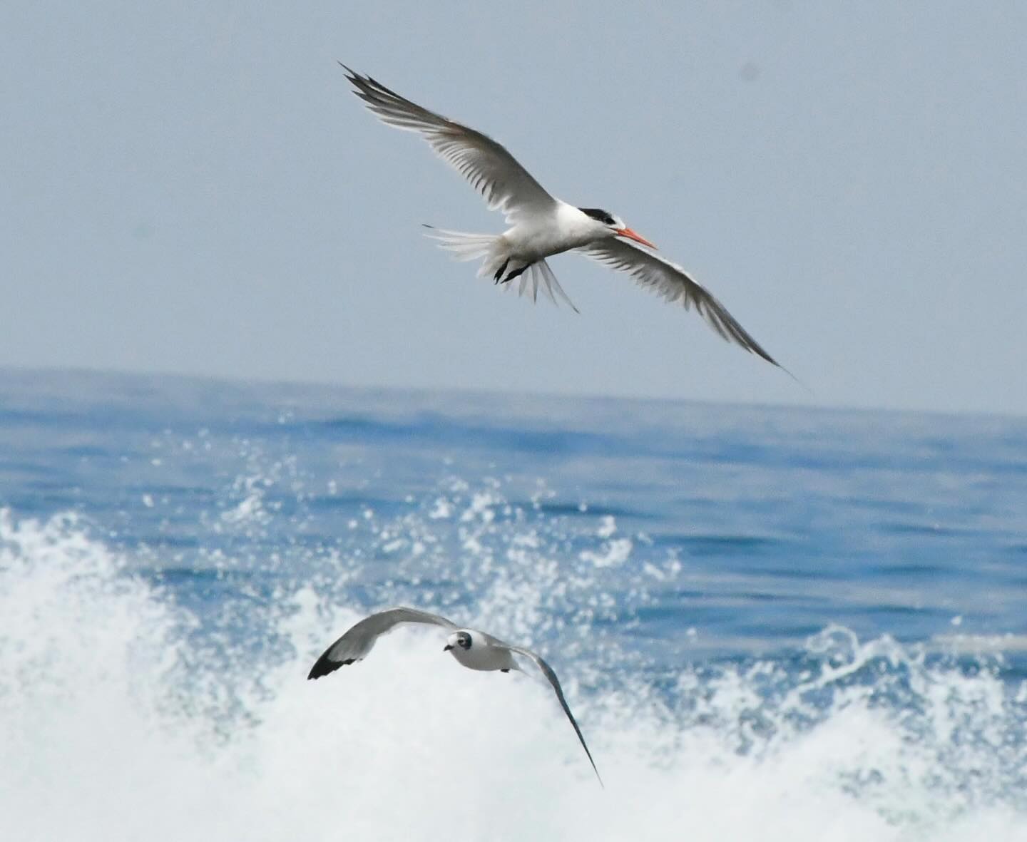 El Mar en Movimiento