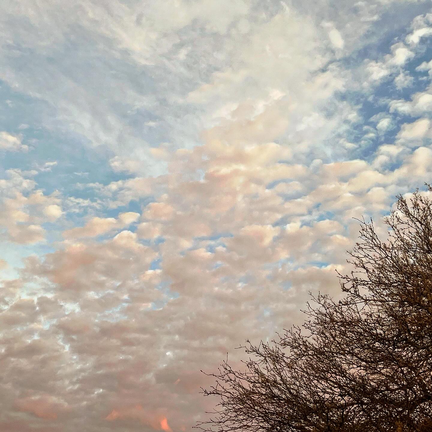 Campo nuboso estratiforme